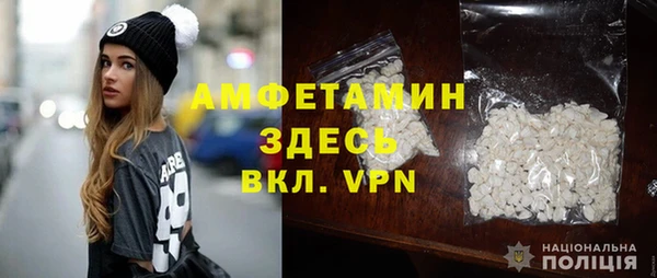 шишки Беломорск