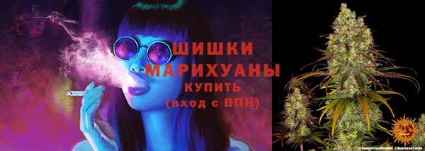 шишки Беломорск