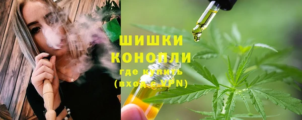 шишки Беломорск