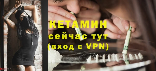 шишки Беломорск