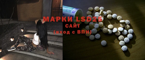 шишки Беломорск