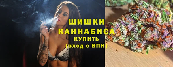 шишки Беломорск