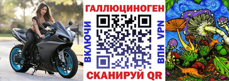 Галлюциногенные грибы Psilocybe  где продают   Краснокаменск 